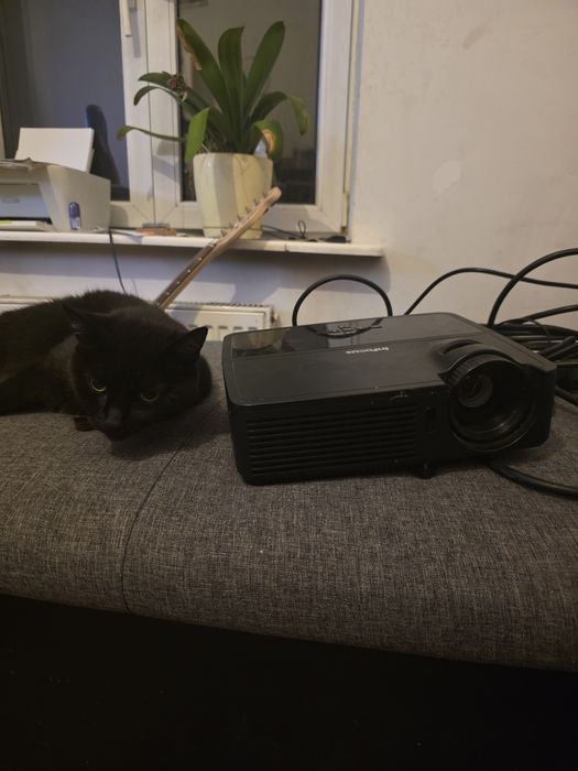 Projektor InFocus IN112 – sprawny, komplet kabli

Sprzedam projektor m