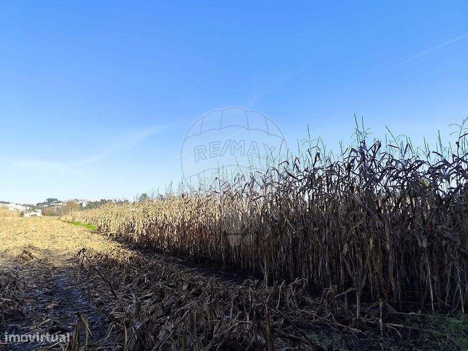 Terreno  para venda