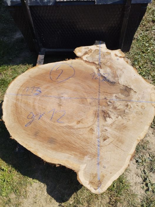 Plastry monolity foszty deski tarcica dębowa