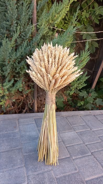 Дідухи   Снопи пшениці, жита