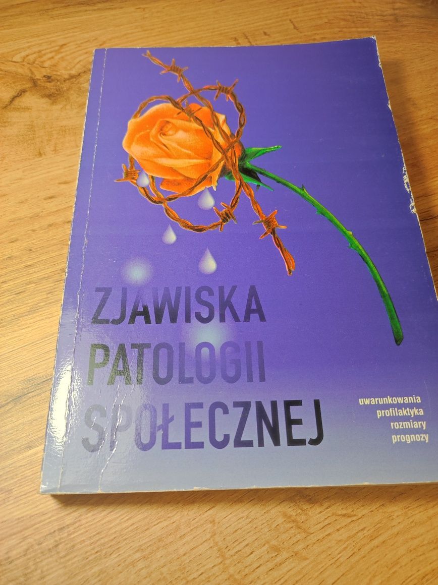 Zjawiska patologii społecznej T. Soltysiak