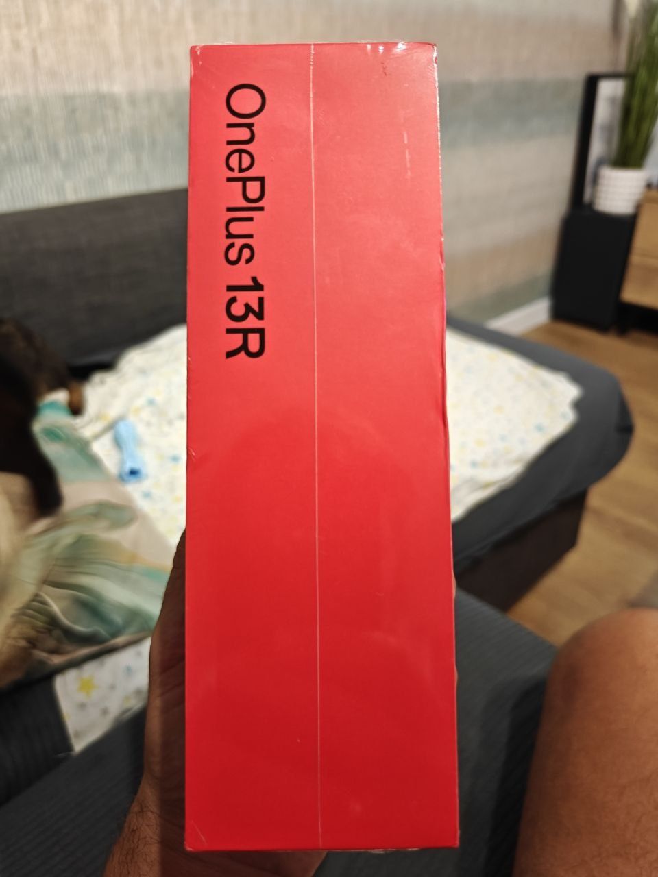 Oneplus 13R OnePlus Ace 5 12/256gb Nowy w folii