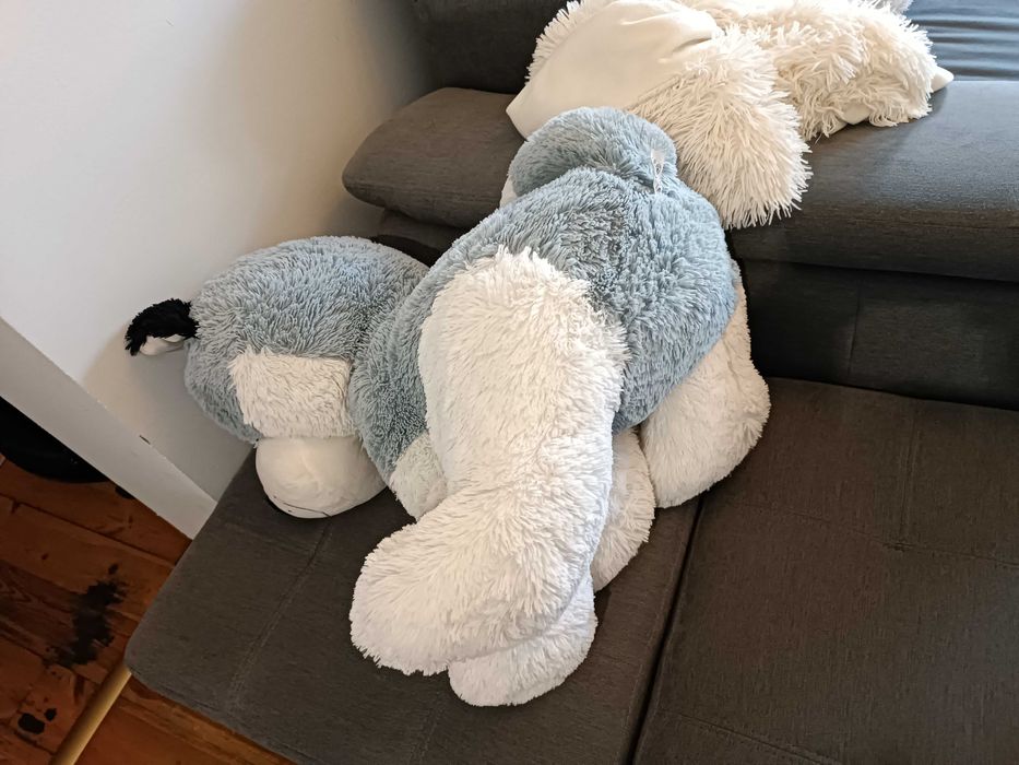 Miś pluszak maskotka pies piesek duży pluszak duża maskotka