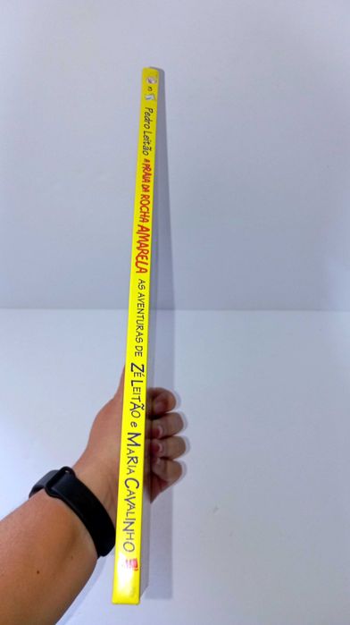 A praia da Rocha Amarela - As Aventuras do Zé leitão