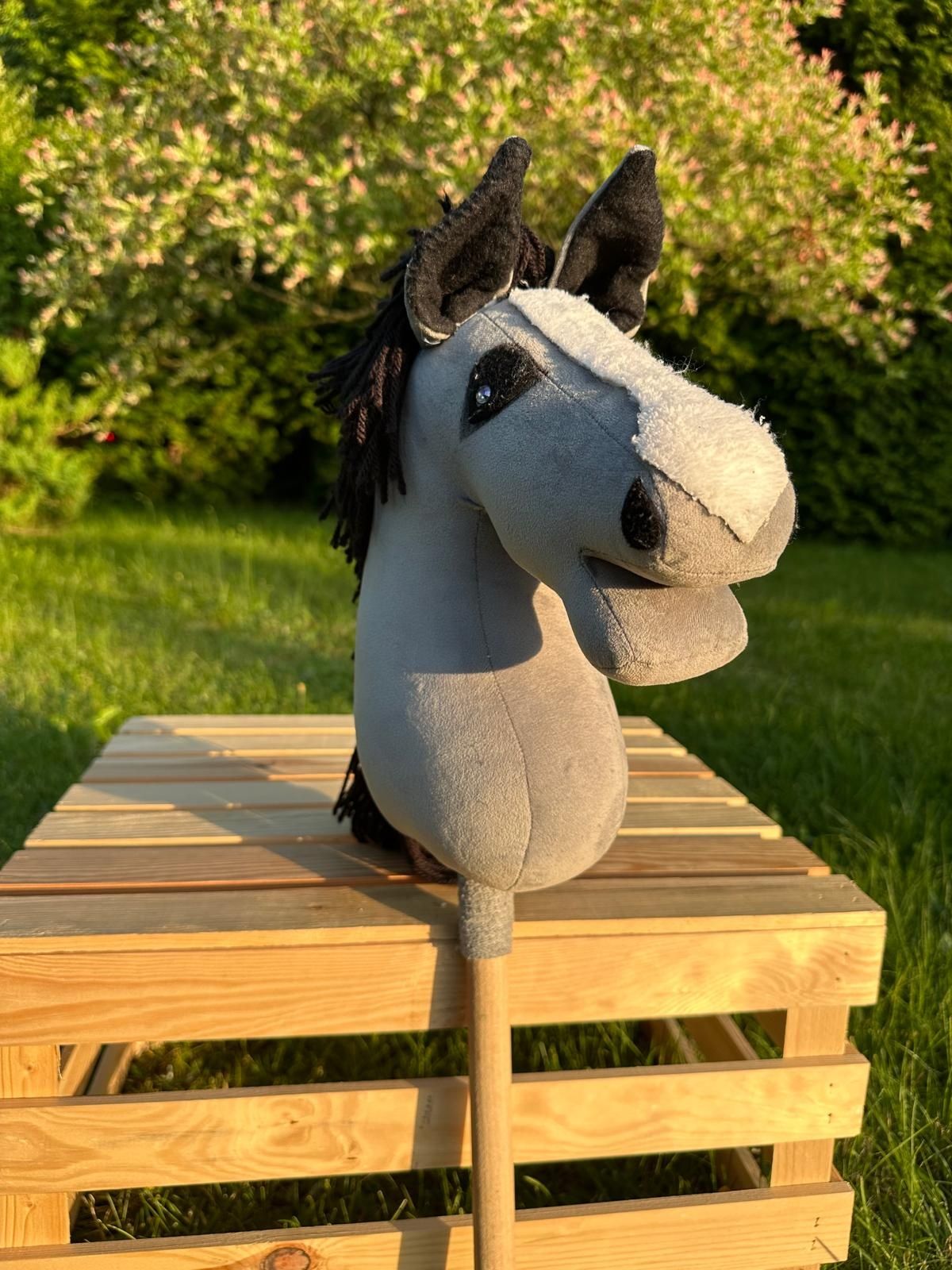 Sprzedam hobby horse a4