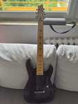 Schecter Jeff Loomies