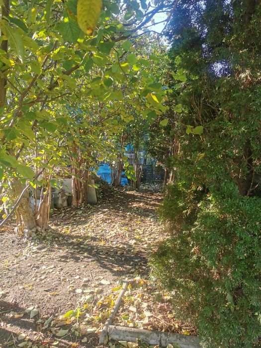 Działka ROD Solec Kujawski 530m z Domkiem