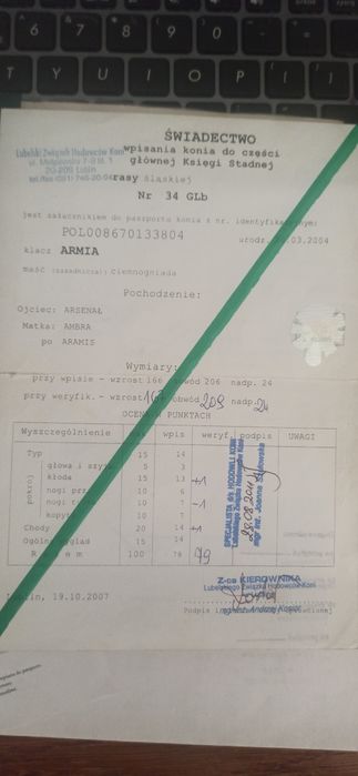 Klacz Śląska ze źrebówka