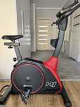 Rower stacjoanrny Hop-Sport
