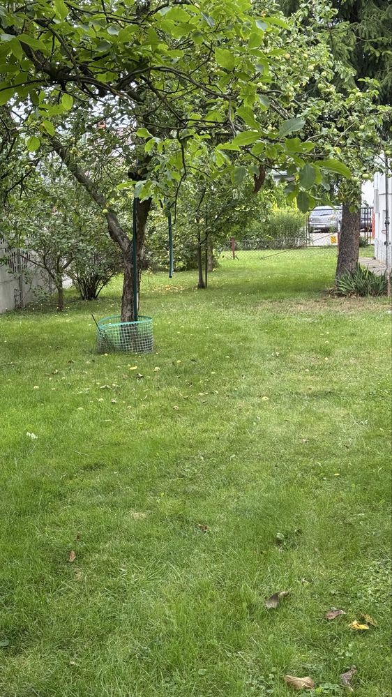 Witam sprzdam dom i budynek gospodarczy do zamieszkania