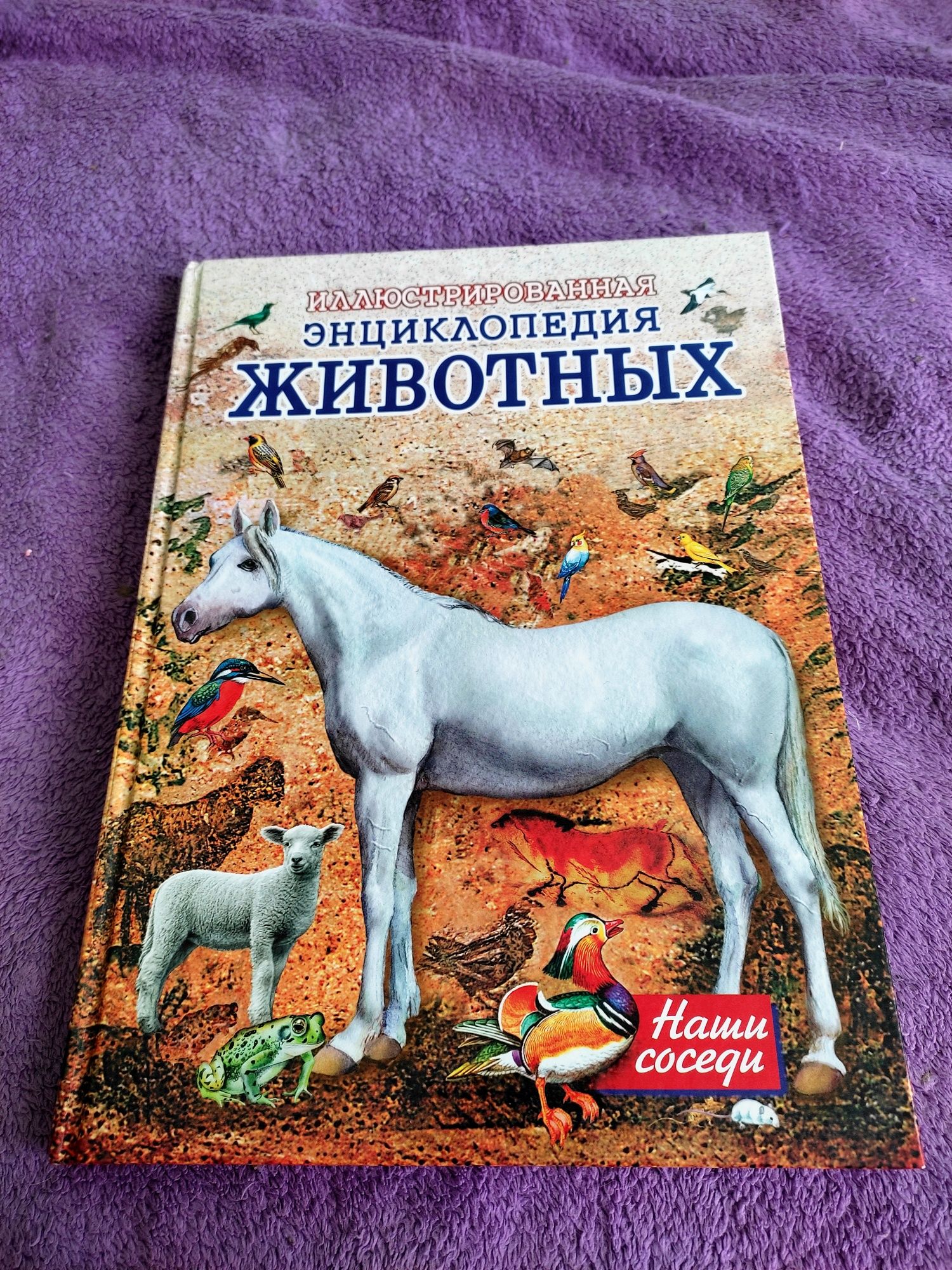 Книга илюстрированная энциклопедия животных, детские книги