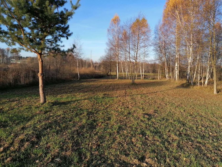 Atrakcyjna działka, 12 km od centrum Kielc