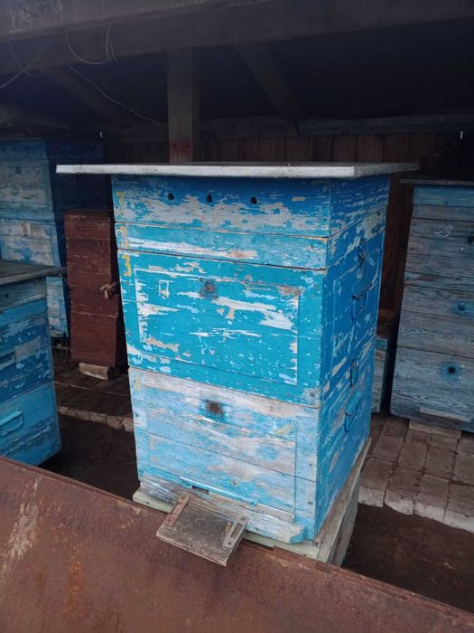 Продажа, оренда або спільне використання б/у вуликів
