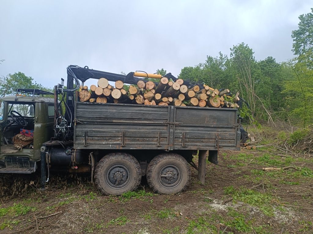 продам дрова двометрові