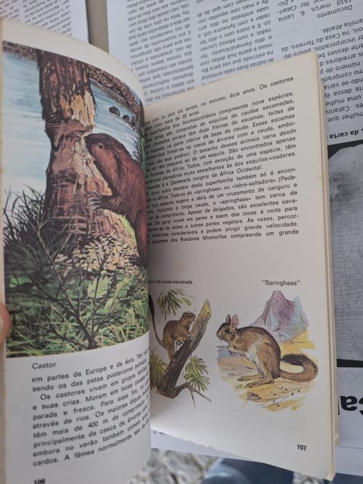 Livros Prisma o Conhecimento em Cores
