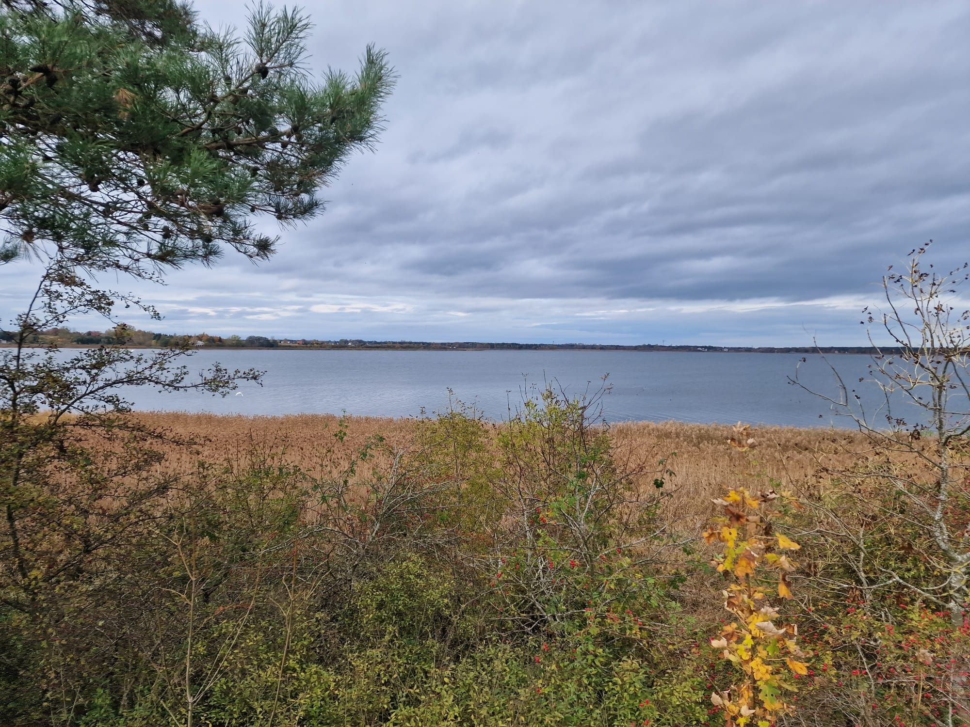 Działki na prawdziwiej wyspie nad morzem, marina, d asf med nie ROD