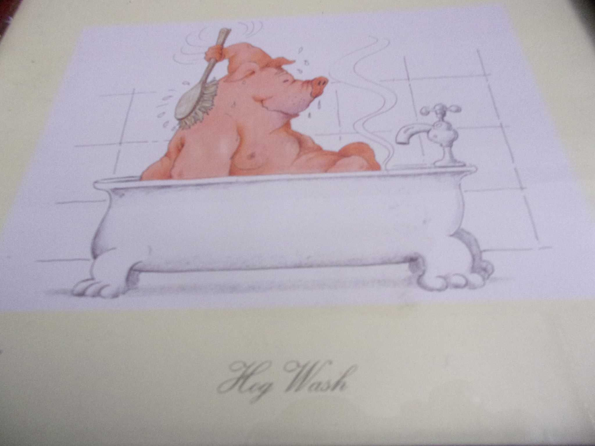 Humorystyczny obrazek " Mycie świni "  ładnie oprawiony za szybą