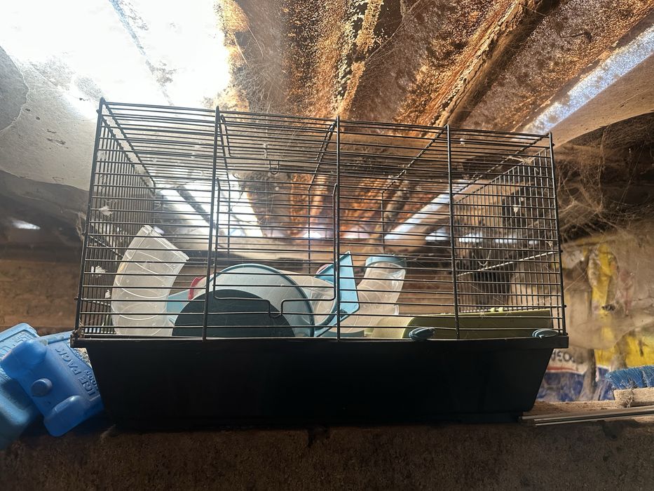 Duas gaiolas para ratos usadas