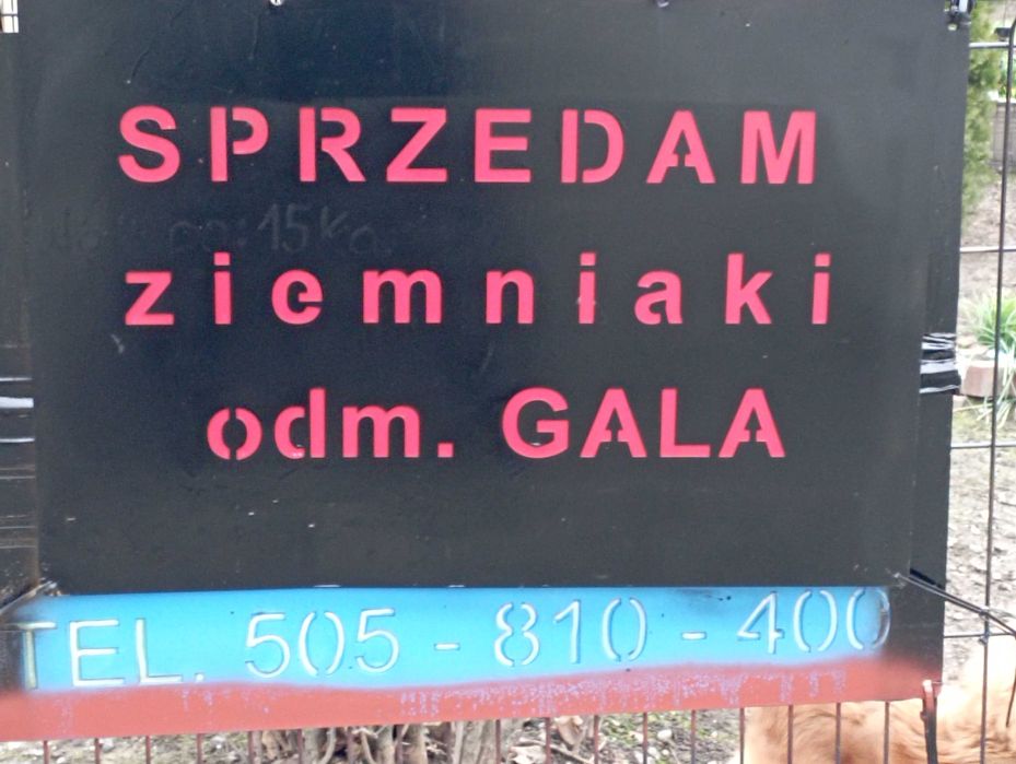 JADALNE GALA/RED SONIA , Pole  Stół  Krótka  DROGA Na STÓŁ Konsum,
Zie