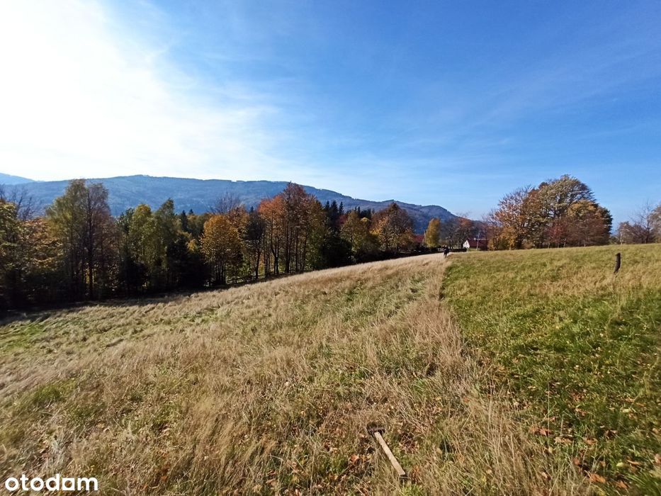 Widokowa działka bud. 2118m2 w Brennej