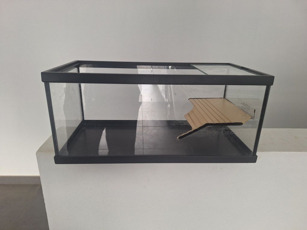 Tartarugueira tortum 40