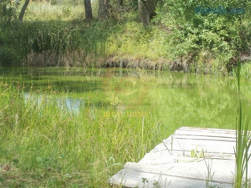 Продаж будинка в Бориспільскому р-оні в с. Сеньківка