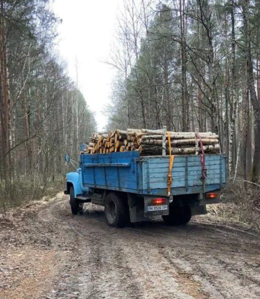 Дрова ОПТОМ та в роздріб. Ціни минулого року. Сезонні знижки. 4/18 м3