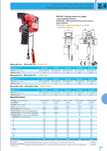 Guincho diferencial elétrico 1.000Kg c/comando rádio
