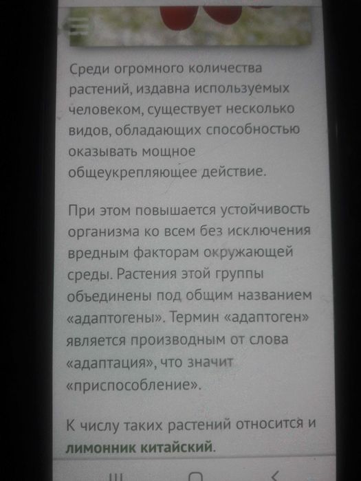 Лимонник китайский протертый с сахаром