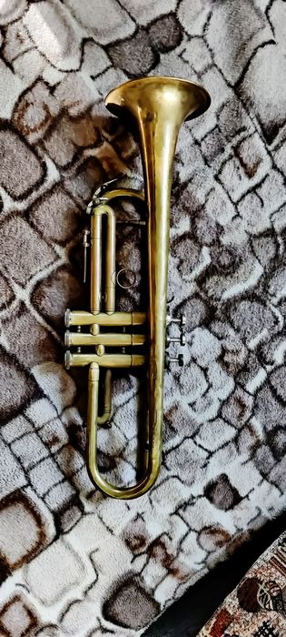 Духова труба ленінградська