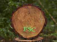 Консультації по FSC сертифікації