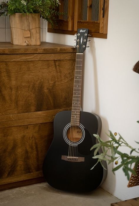 ‼️Гітари для Початківців‼️ та Досвідчини гітаристів. Різні моделі