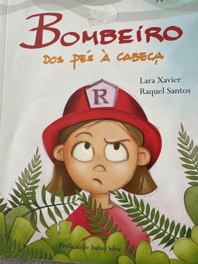 Conjunto 2 livros