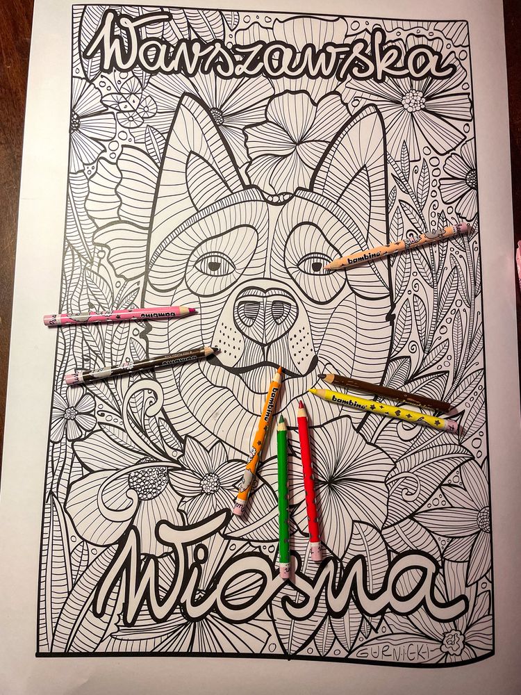 Plakat – kolorowanka „Warszawska Wiosna” pies husky
