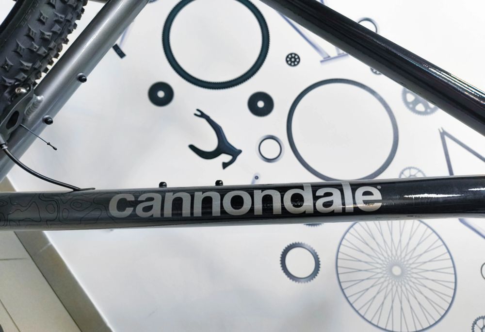 Rower męski Cannondale TRAIL 29" SL 4 GRY L