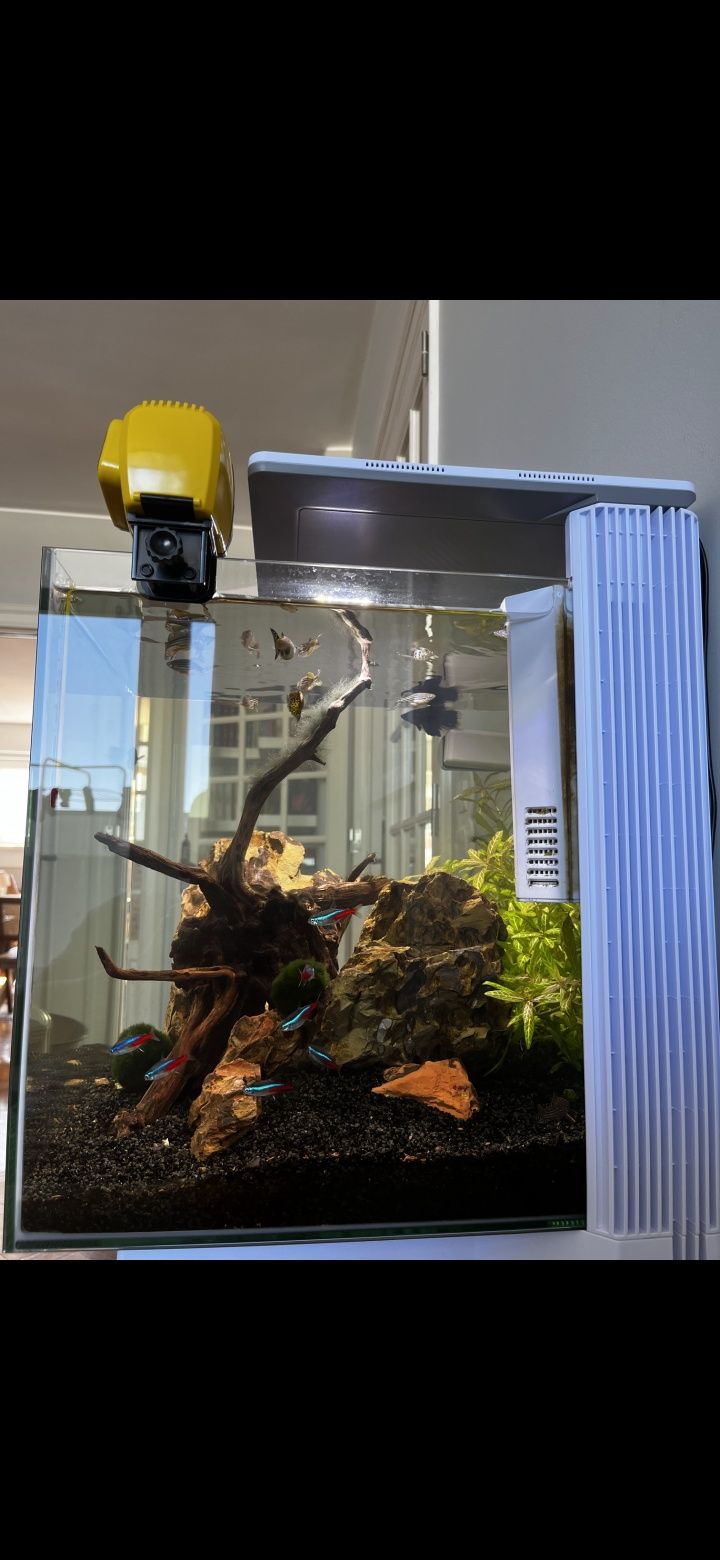Aquário Cubiq 60 litros + lâmpada