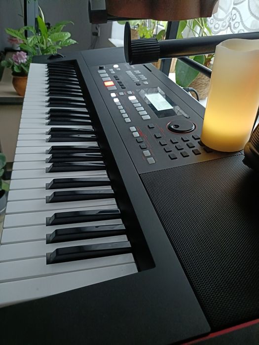 Nauka gry na instrumentach i prowadzenie imprez