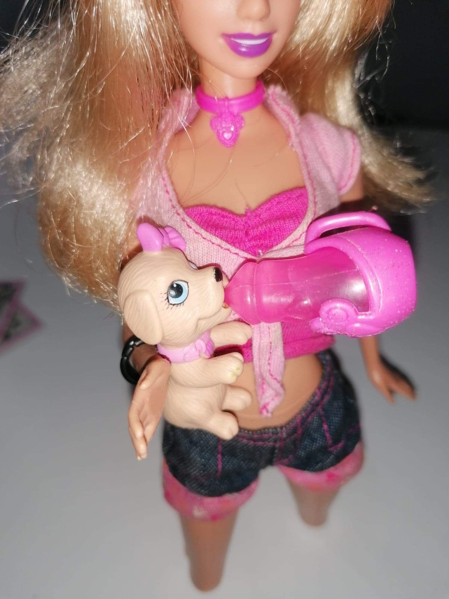 Lalka Barbie, pies Taffy i szczeniaczki