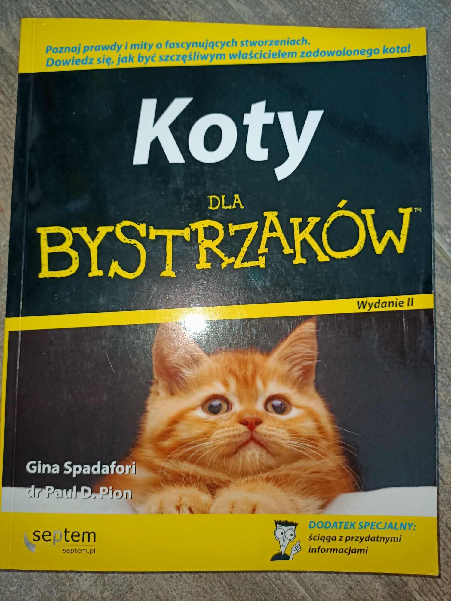 Koty dla bystrzaków Spadafori Pion