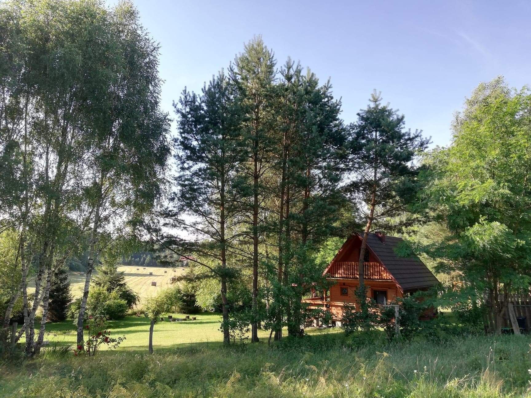 Wolne terminy  9-15 sierpnia samodzielny domek Zielona Dolina Spokój c