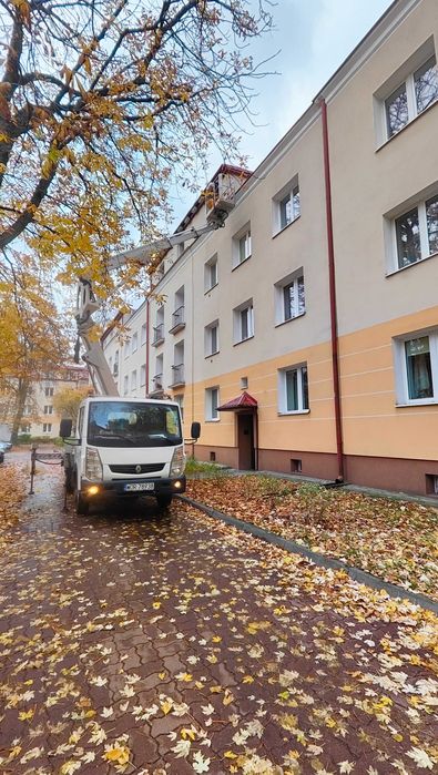 Wycinka drzew usługi podnośnikiem #Mazowieckie#Warszawa