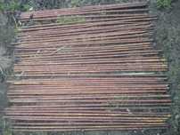 pręty 38 szt, 21 szt fi 10 i 17 szt. fi 12 mm 93-99 cm pręt