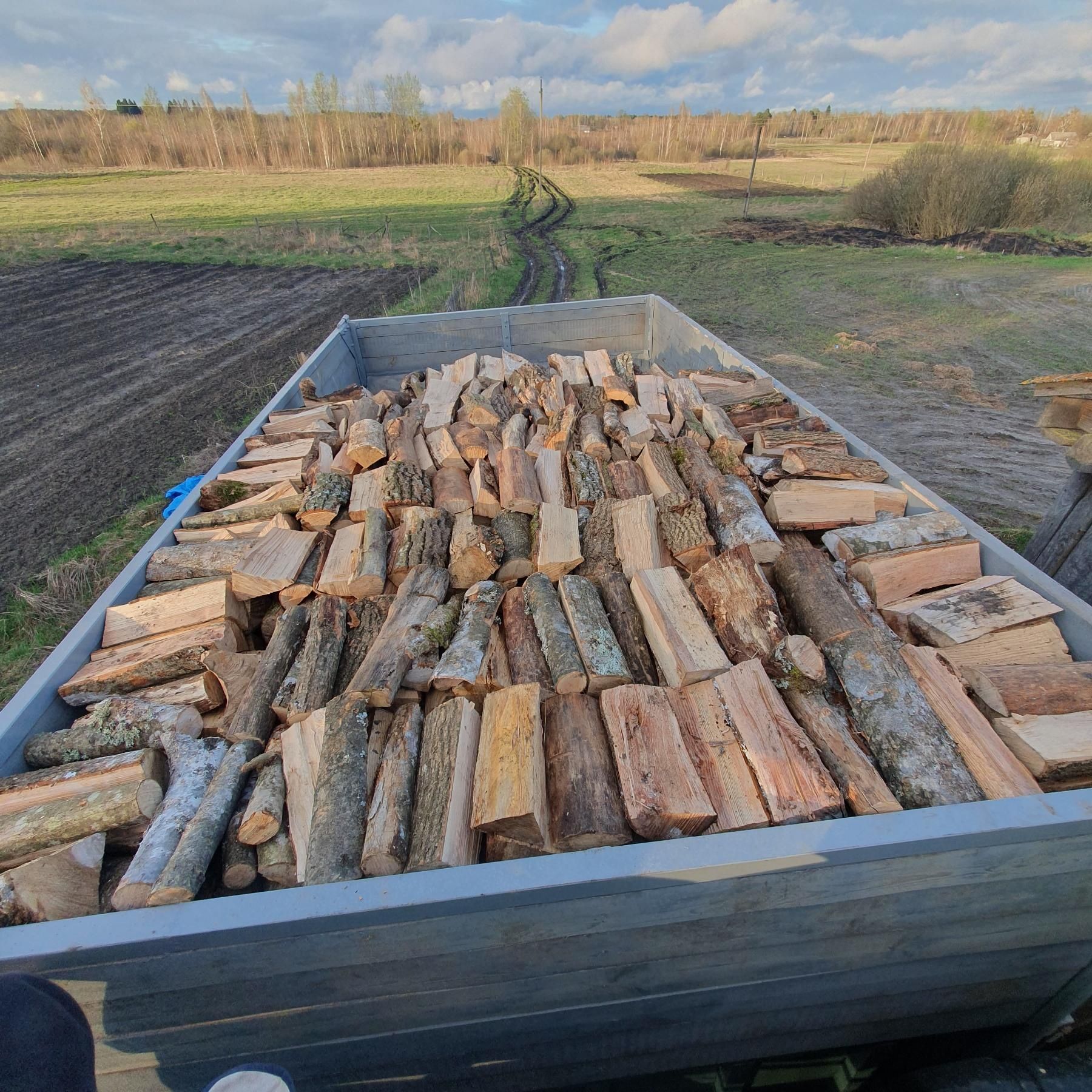 Купить дрова Киев