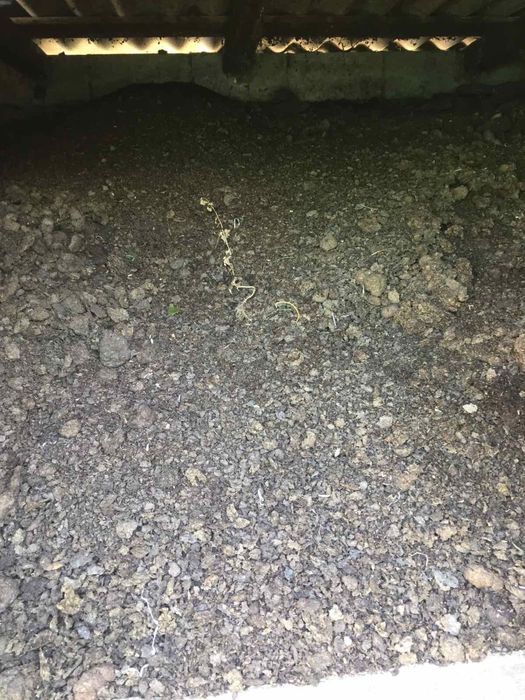 перегній,коровяк,навоз,органічне добриво