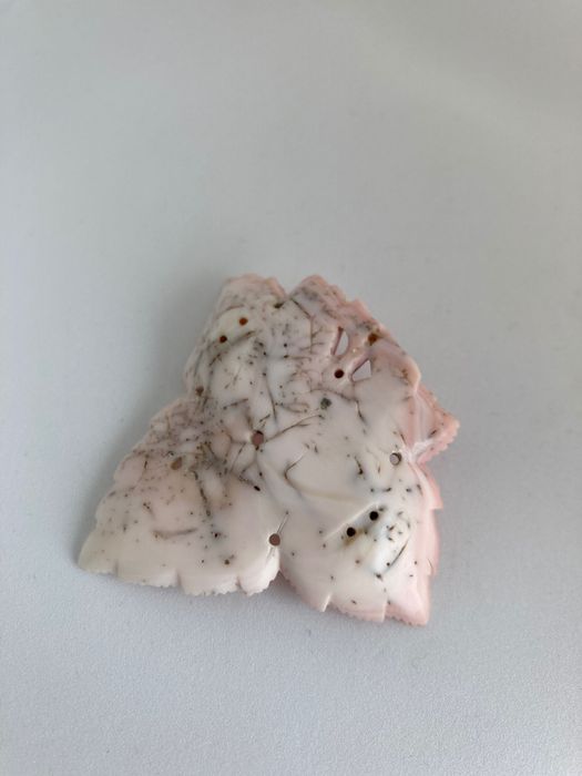 Coral Mediterrâneo  esculpido