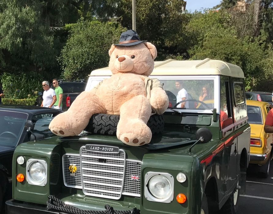 Peluche Urso Ted gigante