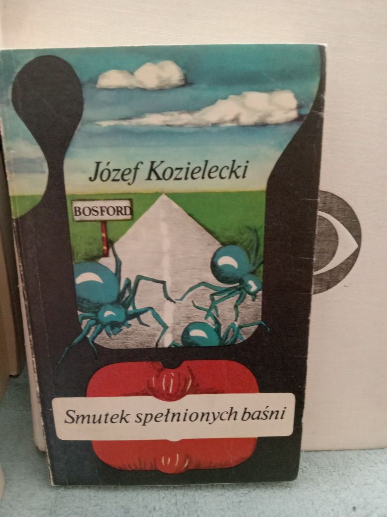 Smutek spełnionych baśni , Józef Kozielecki.