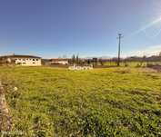 Terreno localizado em Santa Cruz da Trapa, com 1.402,91 m²