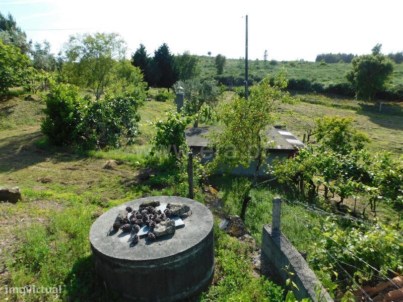 Quintinha / Seia, Paranhos