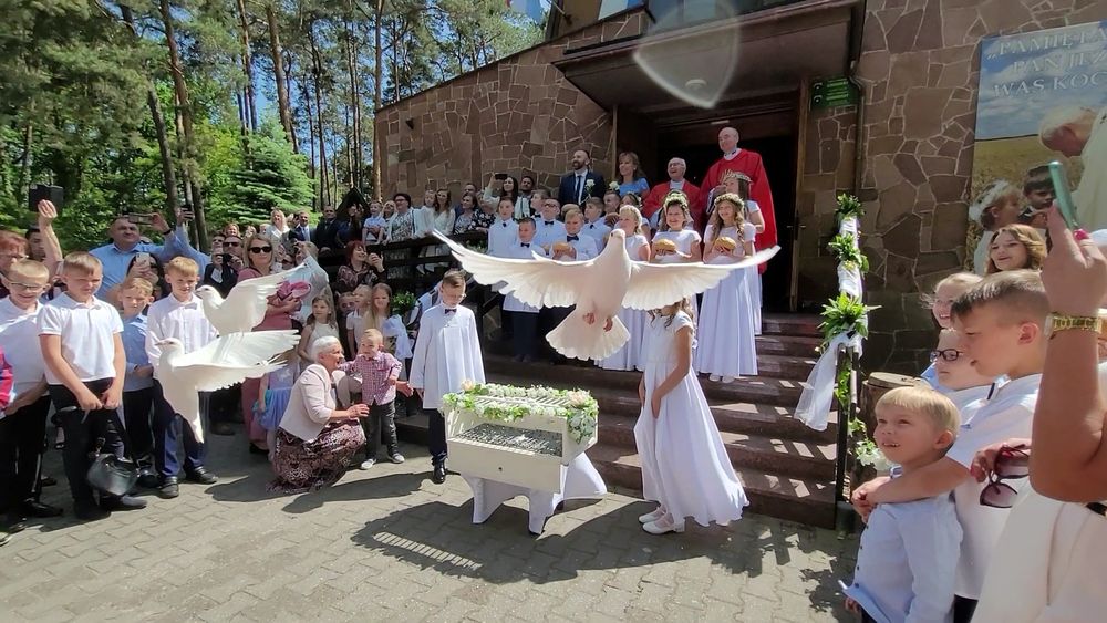 Gołębie na ślub i inne okoliczności woj.mazowieckie.